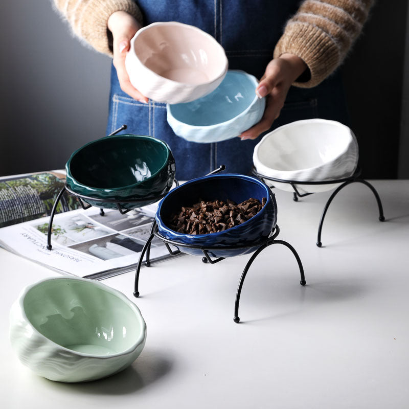 Pet Supplies Elevated Cat and Dog Bowls with Slant Design